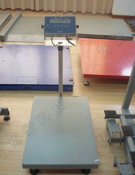 30�����������_�Q�S��